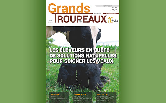 Couverture Grands Troupeaux 93