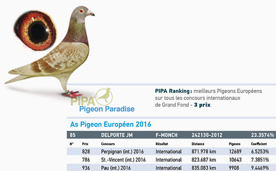 ImageBrochureProduits4PagesA4RV-GammePigeons-1220