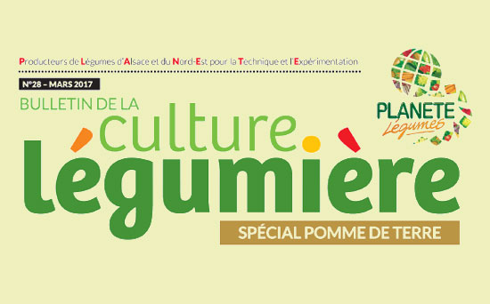 Tetiere Culture Legumiere