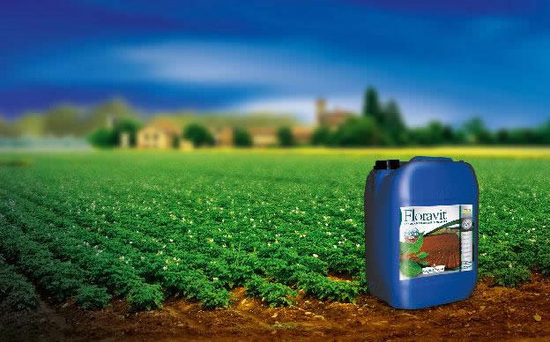 Floravit® Biostimulant pour diminuer les stress et accompagner les programmes de fertilisation en grandes cultures.